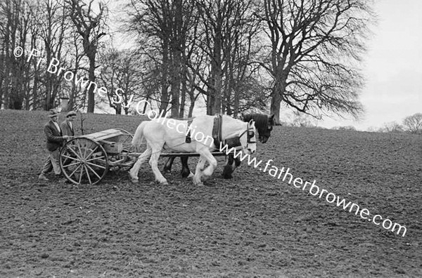 SOWING OATS BY MACHINE DAIRY HILL